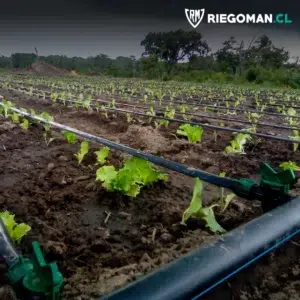 Sistemas de riego para zonas agrícolas en Chile — RiegoMan