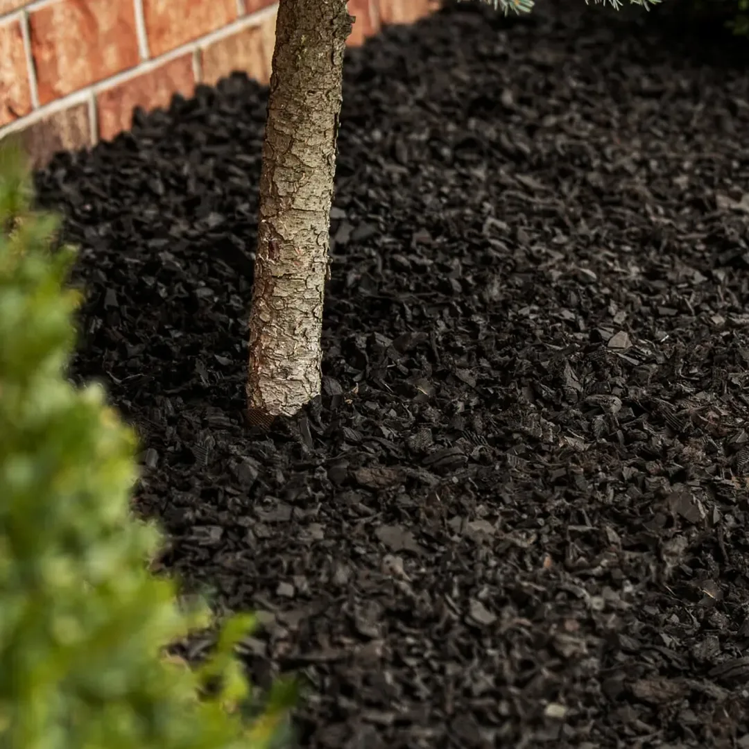 Mulch de madera de color