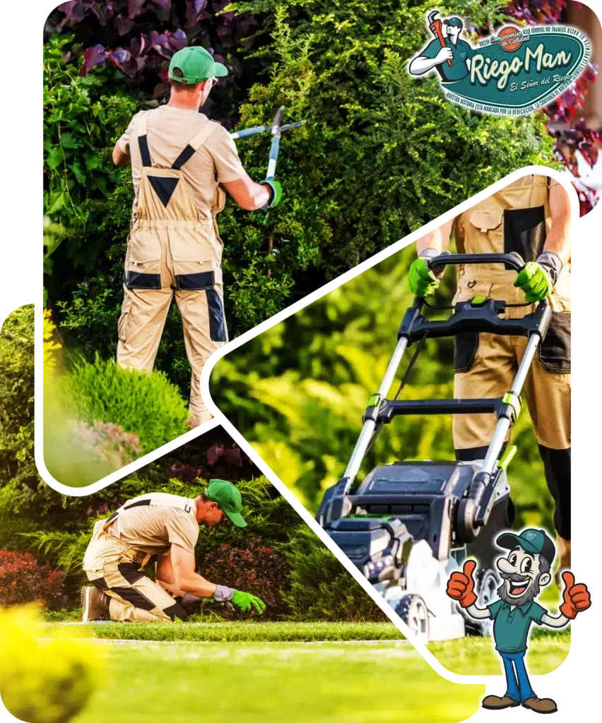 RiegoMan.cl - Mantención de áreas verdes en ChileRiegoMan.cl - Mantención de áreas verdes en Chile RiegoMan.cl - Mantención de áreas verdes en Chile